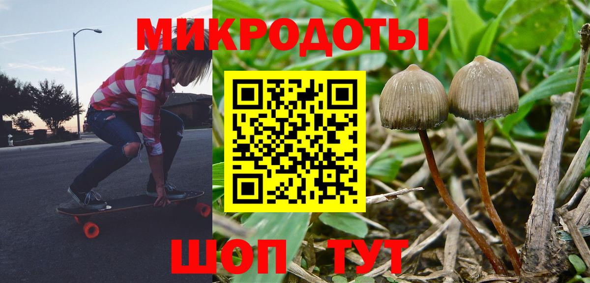 Галлюциногенные грибы Magic Shrooms  Вход с VPN  Сочи  Галлюциногенные грибы Psilocybe 